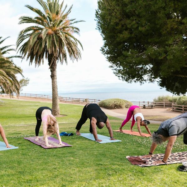 A group of women doing gentle stretching exercises on yoga mats.
